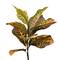 6ft. Potted Artificial Green & Orange Croton Tree